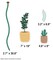 Carson Dellosa Grow Together 72 pc Bundle Bulletin Board Set, Colorful Cardstock Plants and Flower Cutouts, Name Labels, Garden Theme Decorations for Homeschool and Classroom Decor